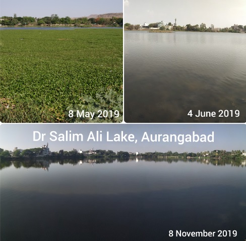 dr.salim ali lake