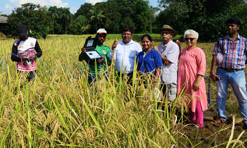 The Impact of SRT on Methane Emission Reduction in Paddy Field.