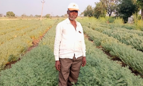 newsletter-SRT humming….. Soil enriching, Crops booming and Farmers Empowering