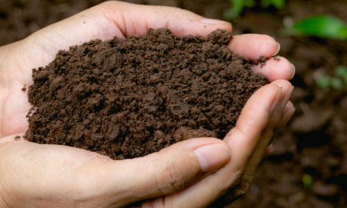 newsletter-Understanding Soil Health through Bulk Density and Organic Carbon 