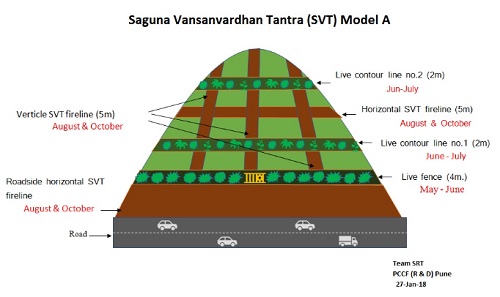 SVT model for reducing the risk of wildfire without human intervention
