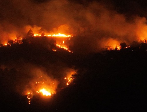 Nighttime Forest Fire 